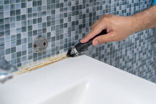 Best Residential Mold Remediation in Carterville, MO